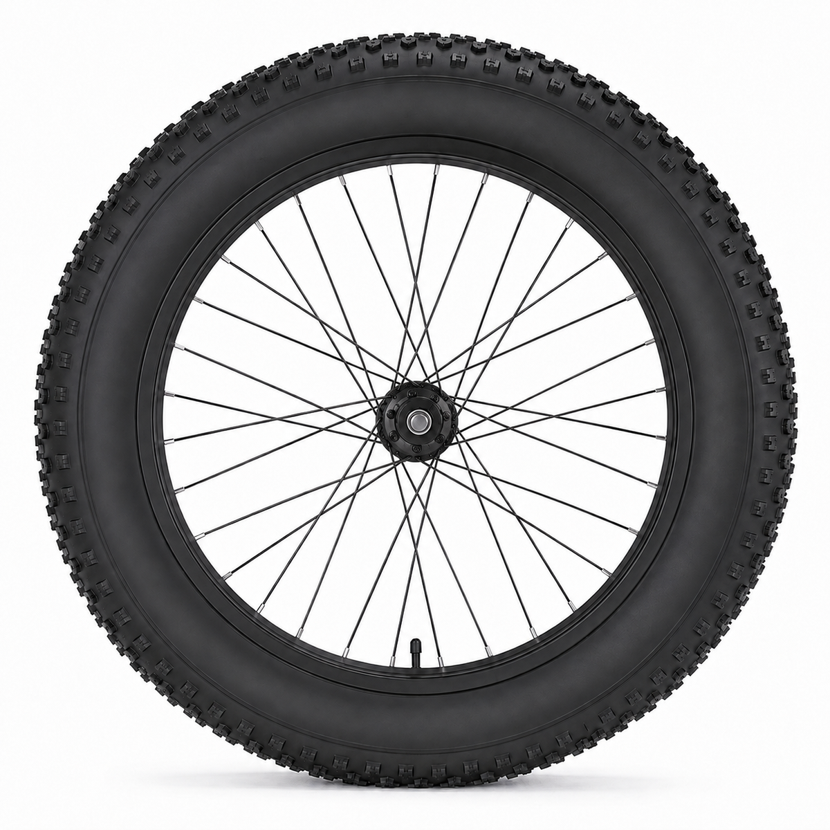 Front Wheel Assembly for Greatwork R8 Electric Bike – 20 × 4.0 Fat Tire